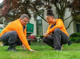 Expert Landscaping Services Tailored to Your Vision and Budget