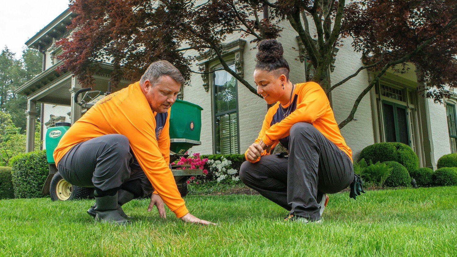expert landscaping services
