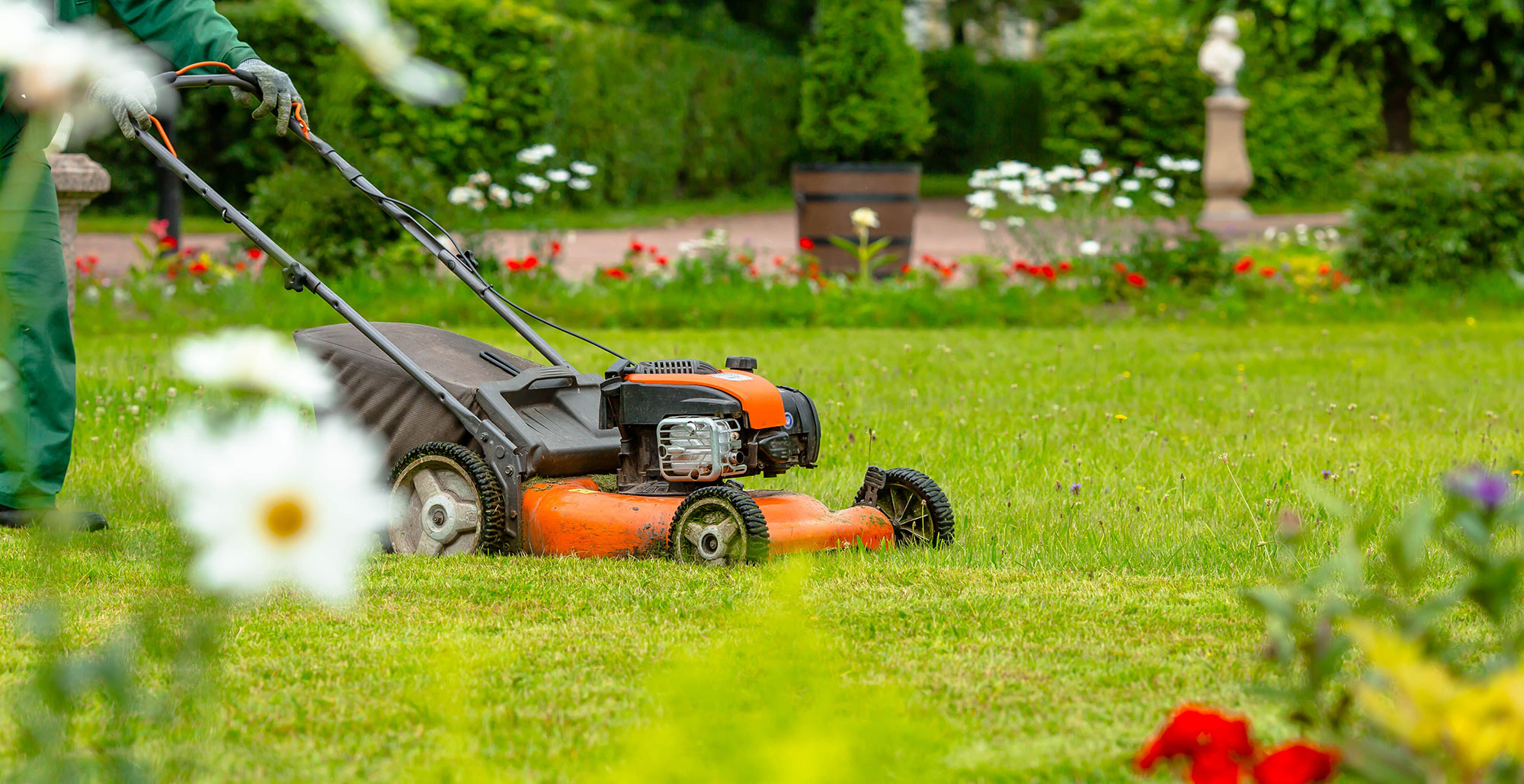 lawn care treatments