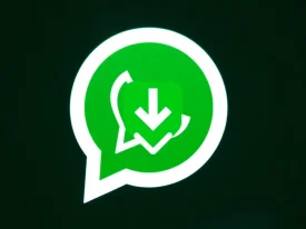 如何有效地进行 WhatsApp官网下载：一步一步指导