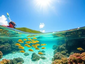 Experience the Best Snorkeling Puerto Rico Has to Offer